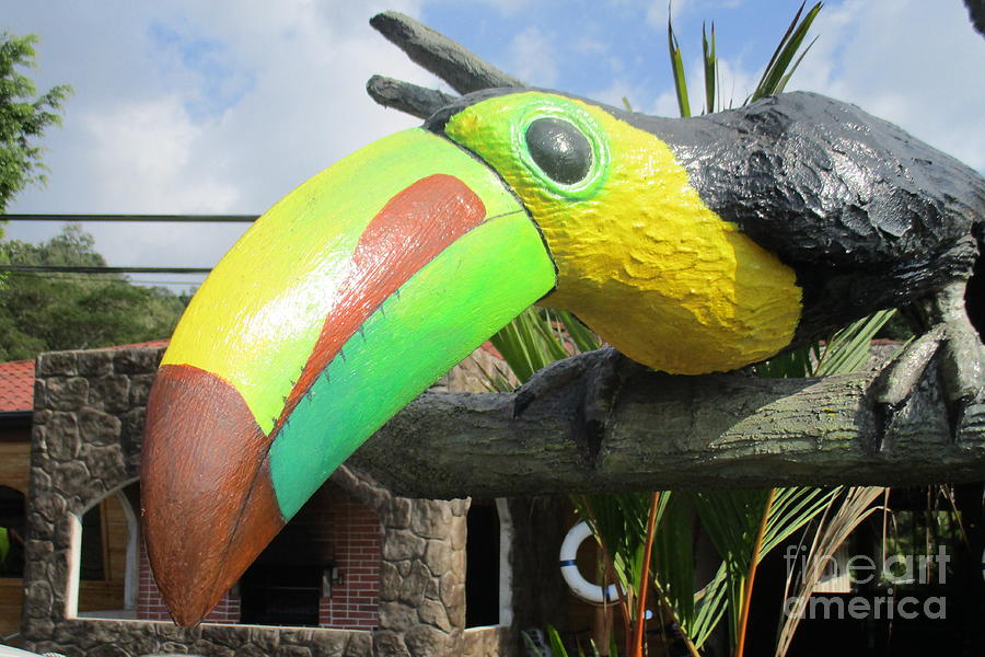Giant Toucan Photograph by Randall Weidner