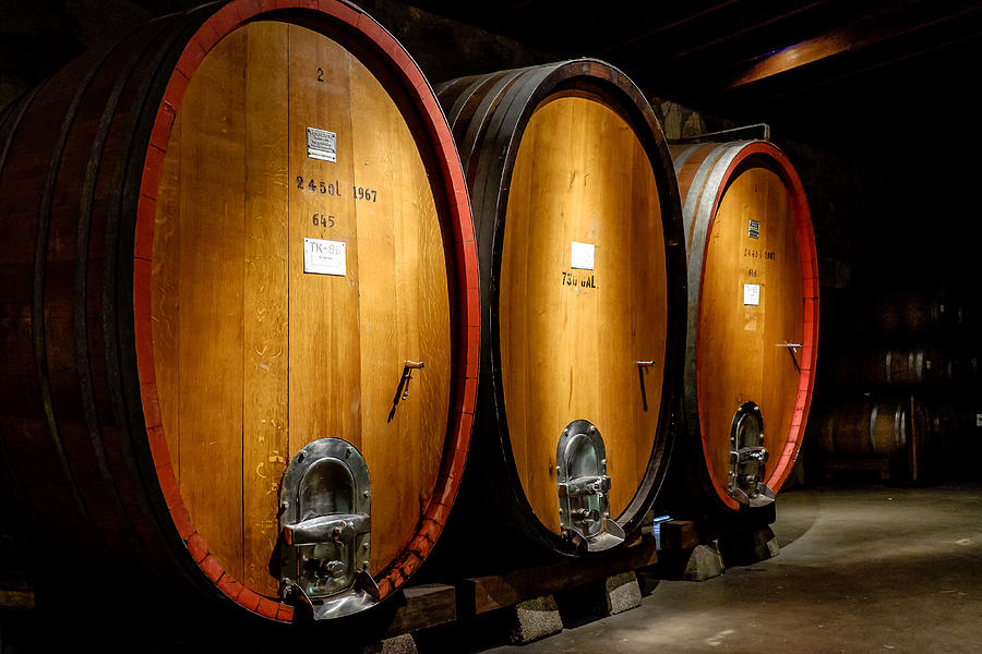 Wine Photograph - Giant wine barrels by John McArthur