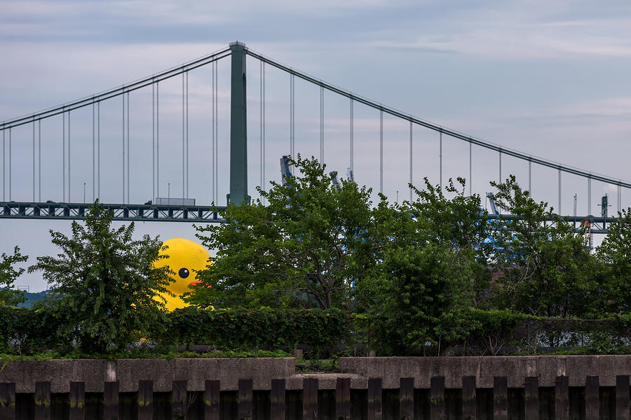 Duck Photograph - Giant Yellow Duck Walt Whitman Bridge Philly by Terry DeLuco