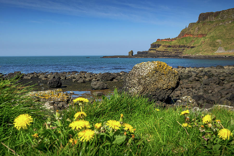 Giants Causeway Photograph by Mark Llewellyn