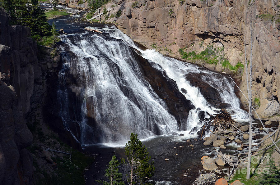 Gibbon Falls Cascade into Gibbon River in Yellowstone National Park Photograph by Shawn OBrien