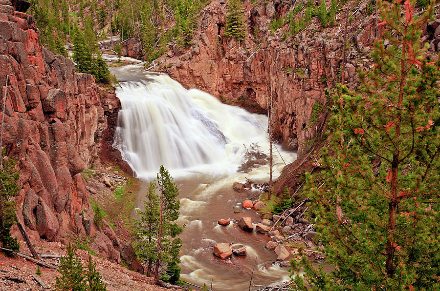 Yellowstone National Park Photograph - Gibbon Falls by Greg Norrell