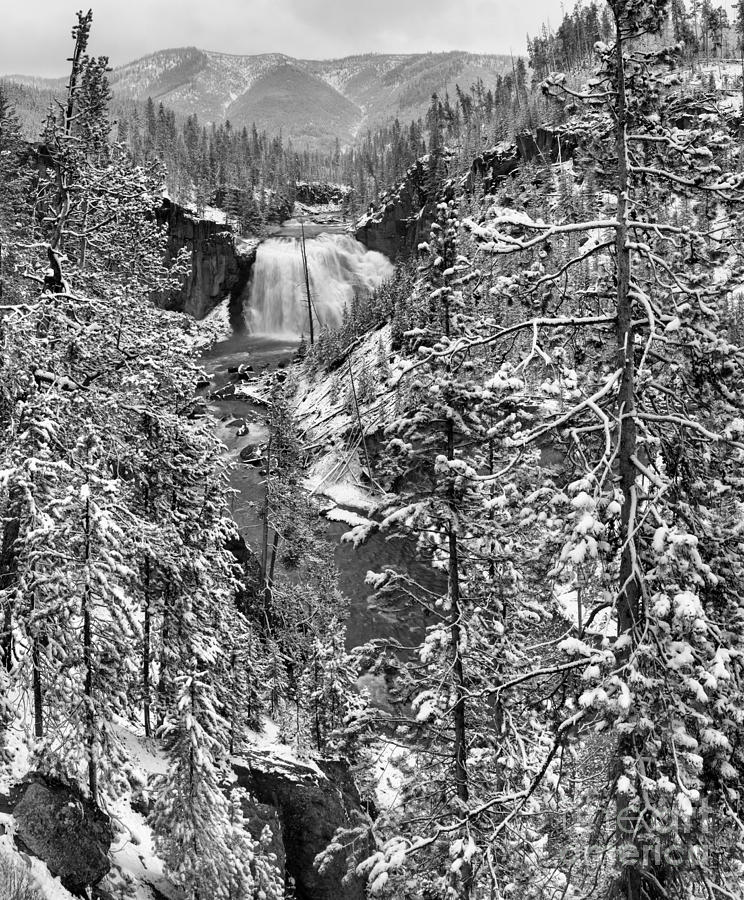 Gibbon Falls Snowy Black And White Photograph by Adam Jewell