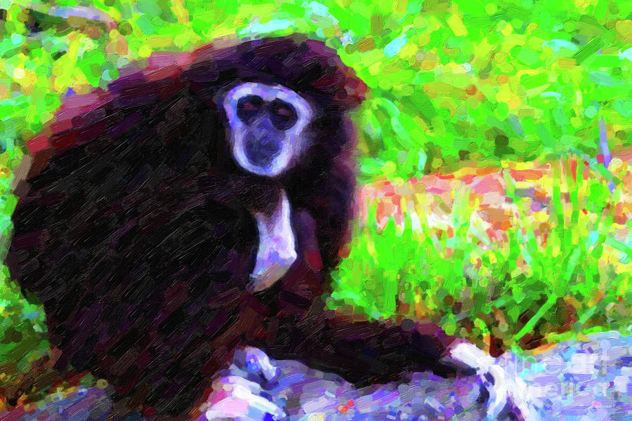 Gibbon Photograph by Wingsdomain Art and Photography