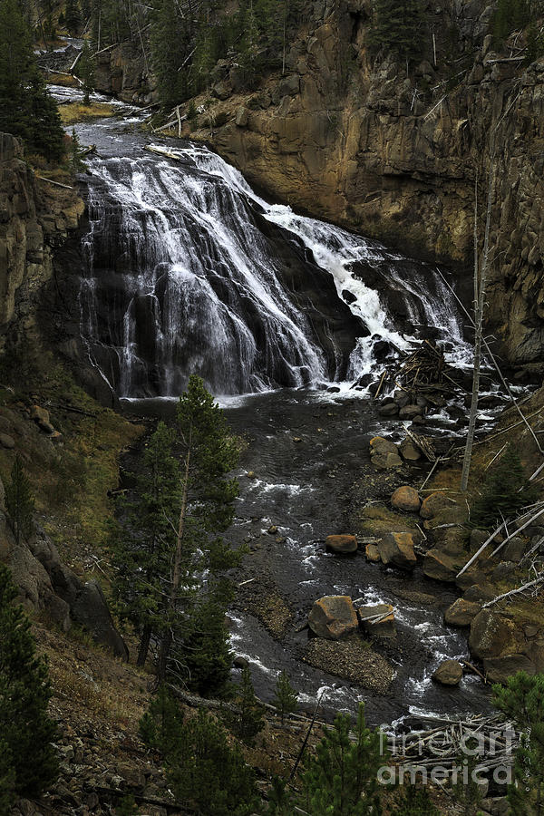Gibbons Falls, Yellowstone Photograph by Craig J Satterlee
