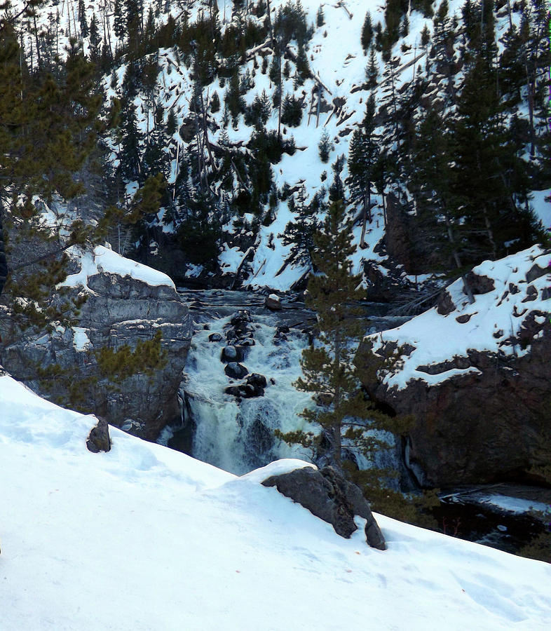 Gibon Falls in Winter Photograph by C Sitton