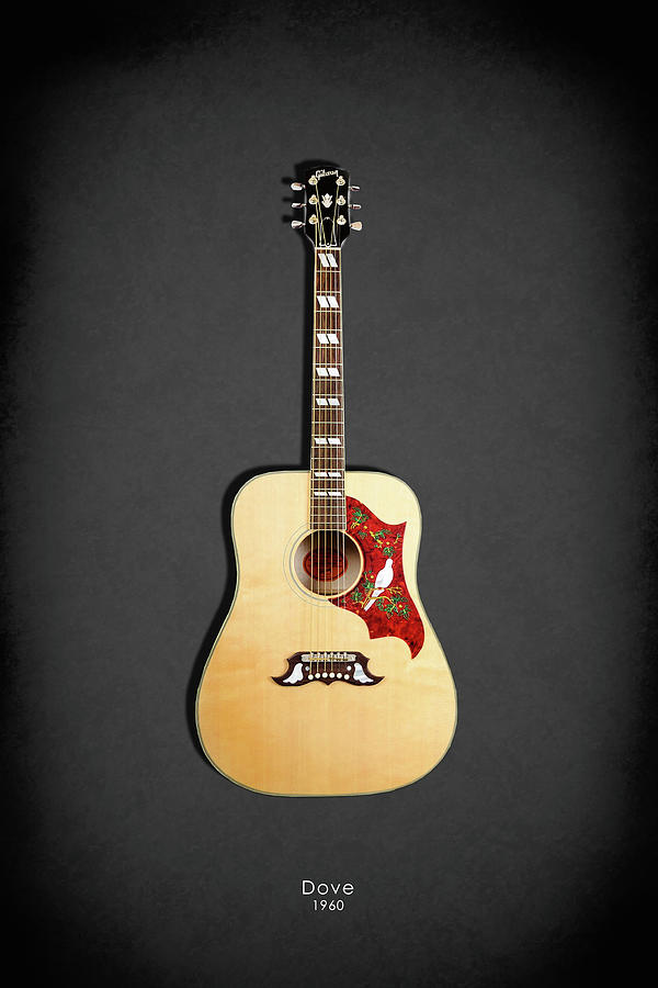 Guitar Photograph - Gibson Dove 1960 by Mark Rogan