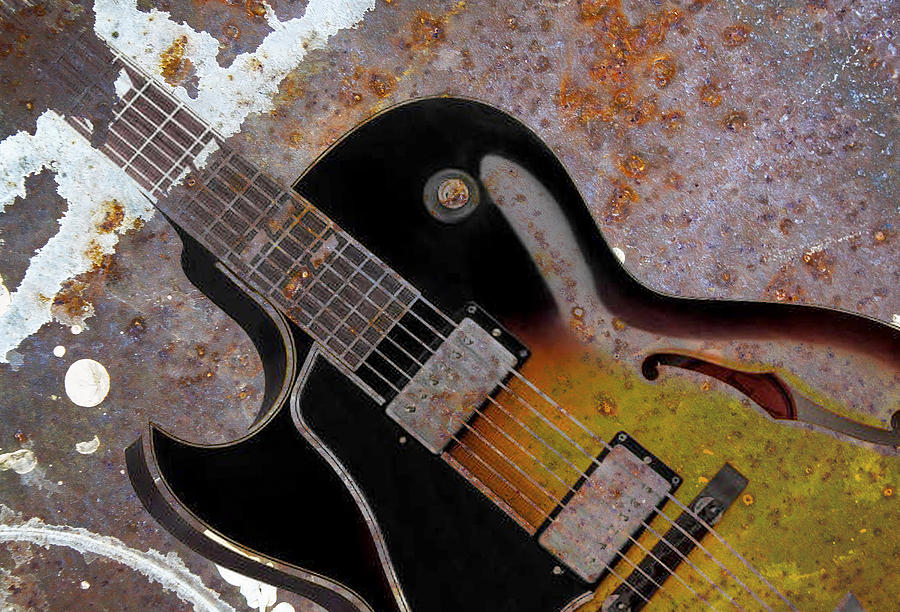 Gibson Rust Photograph by Steve McKinzie