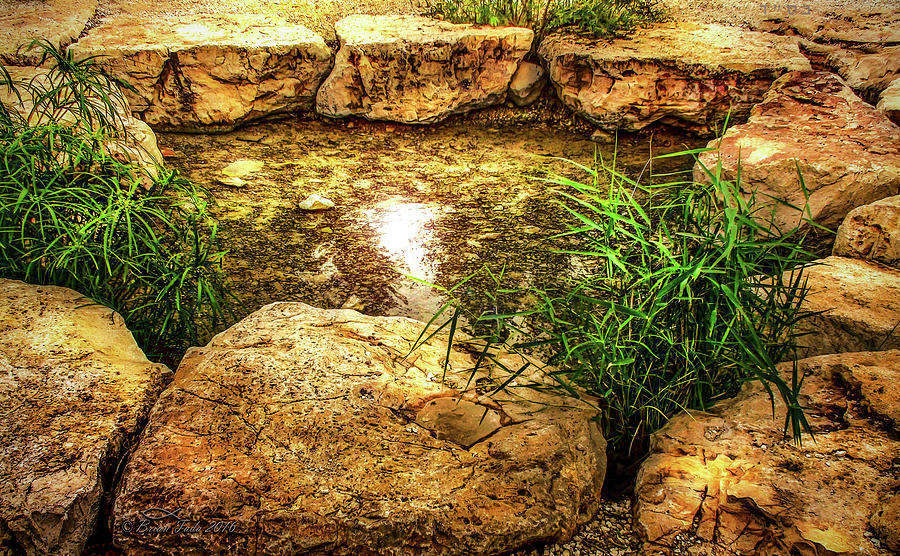 Gideons Spring, Israel Photograph by Brian Tada
