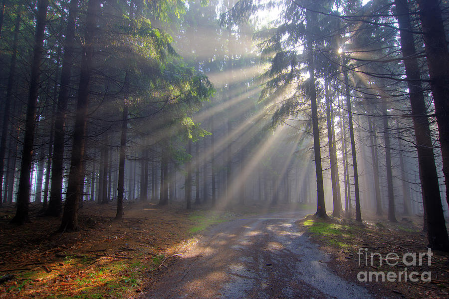 Gift of Light - God beams Photograph by Michal Boubin