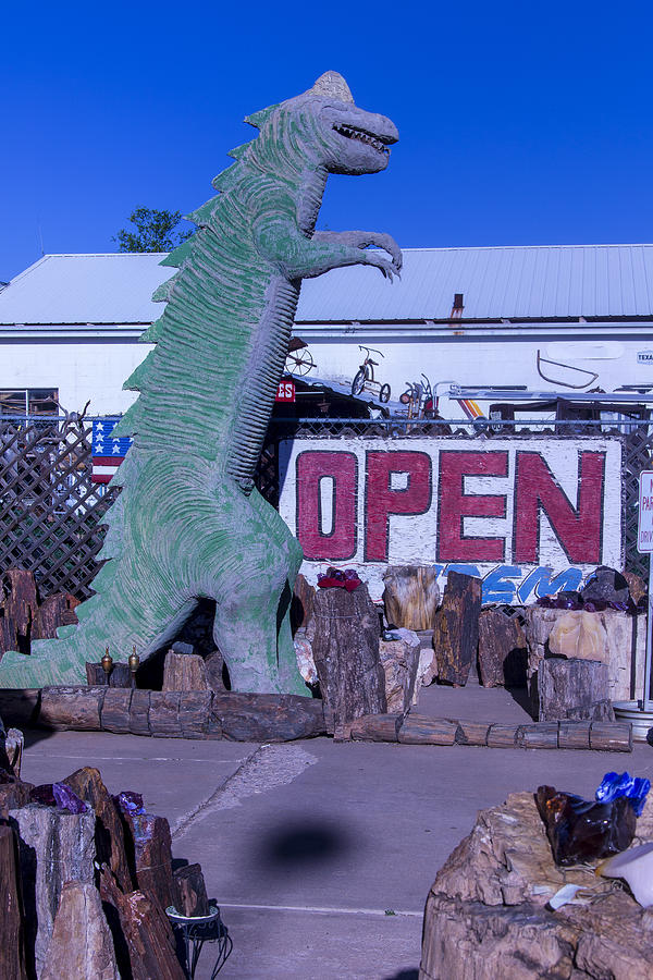 Gift Store Dinosaur  Photograph by Garry Gay