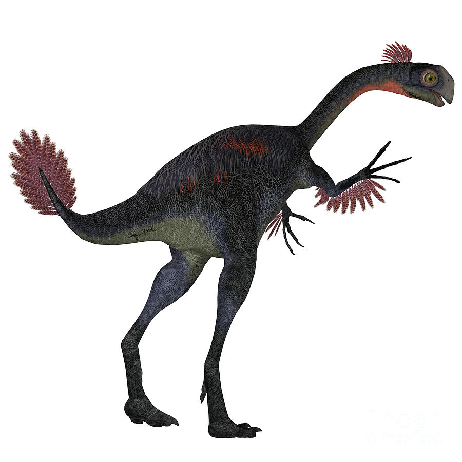 Gigantoraptor