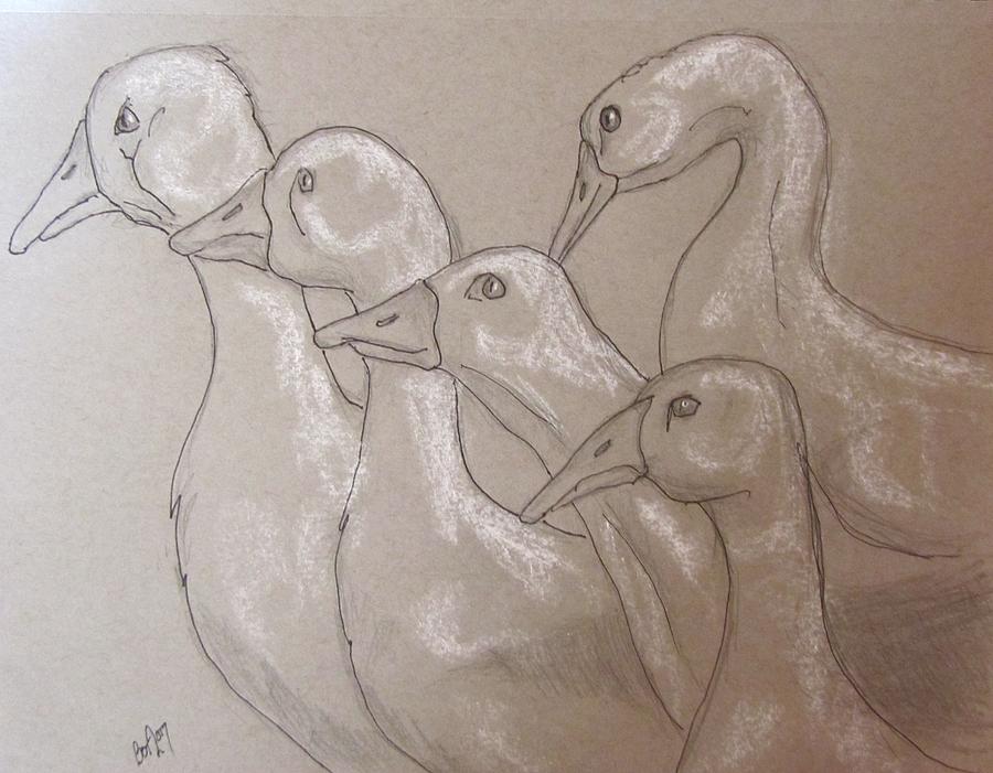 Giggle of Geese Drawing by Barbara OToole