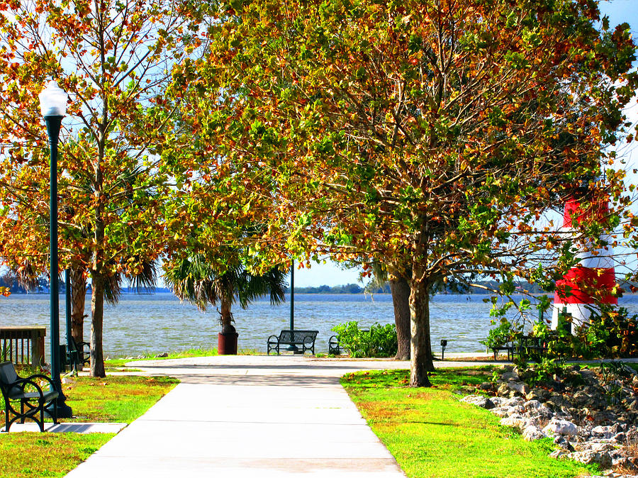 Gilbert Park in Mt Dora Photograph by Elyza Rodriguez - Fine Art America