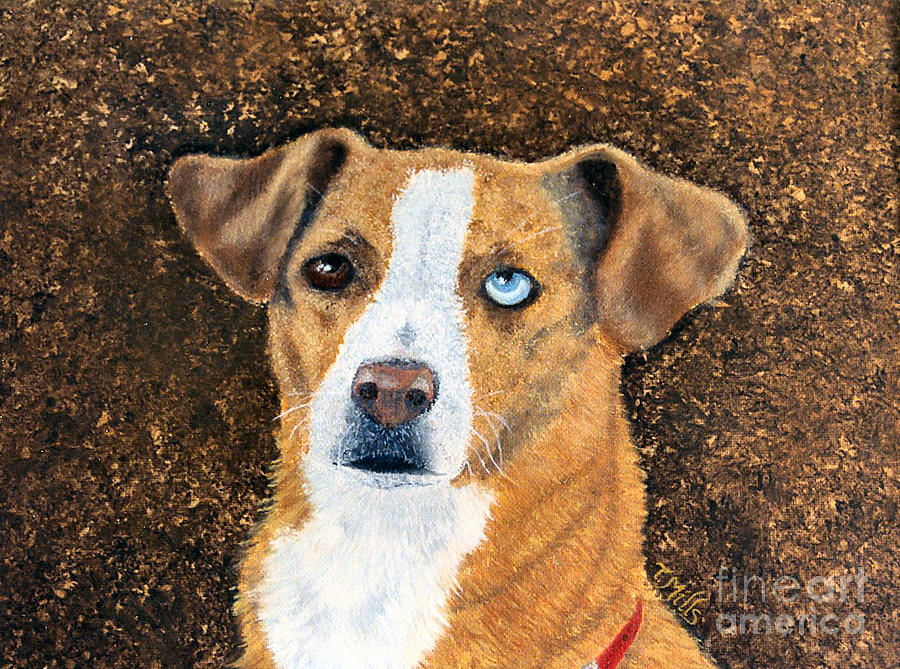 Ginger - mixed breed Painting by Terri Mills