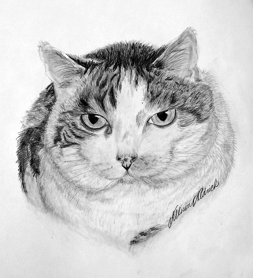 Ginger Drawing by Allison Aldrich