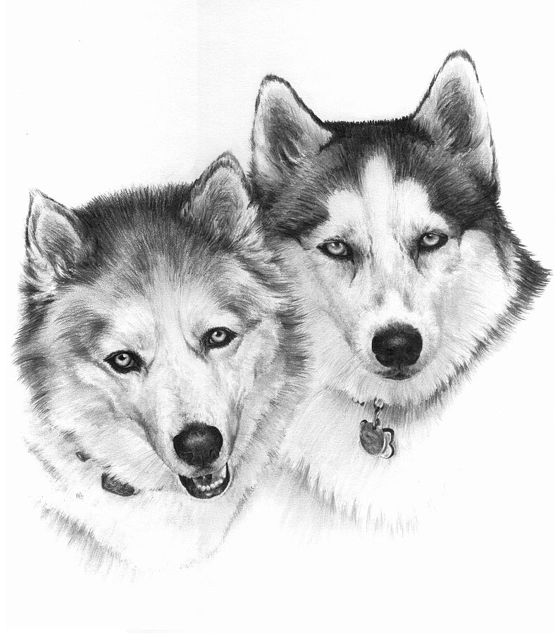 Ginger and Nani Drawing by William Russell Nowicki - Fine Art America