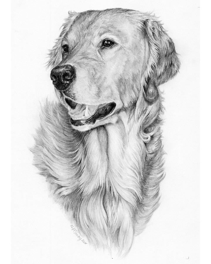 Ginger by Laurie McGinley Ginger by Laurie McGinley