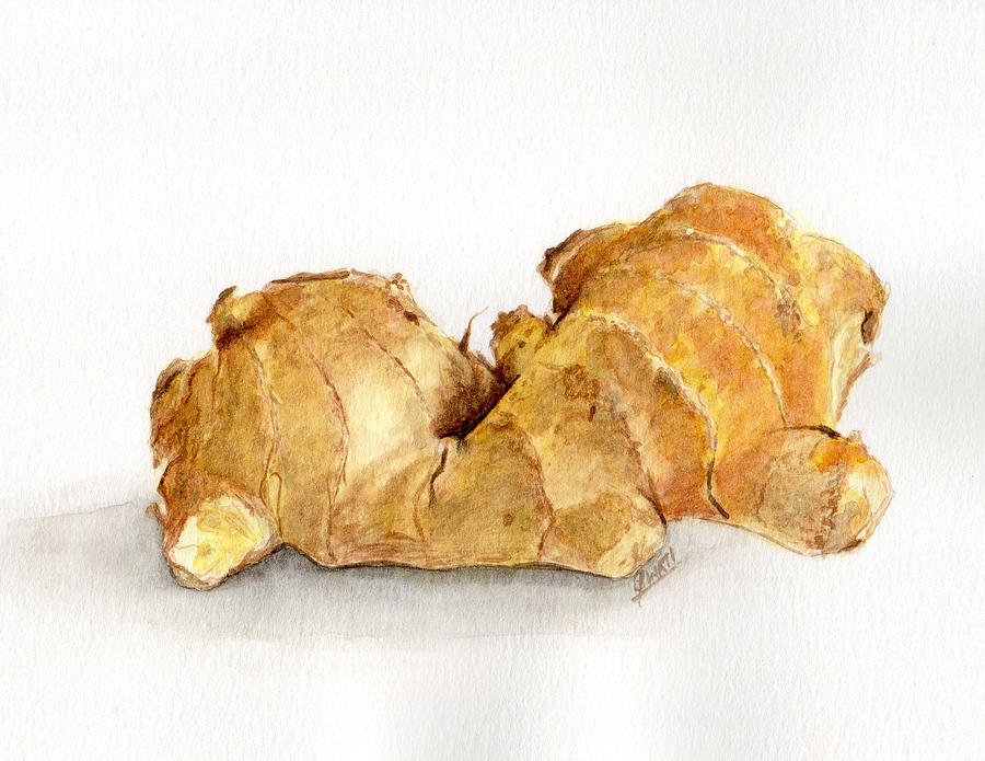 Ginger Painting by Swati Singh - Fine Art America