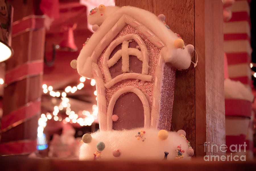 Gingerbread house Photograph by Claudia M Photography
