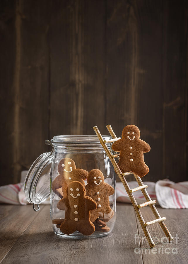 Coffee And Biscuit Photograph by Amanda Elwell - Fine Art America