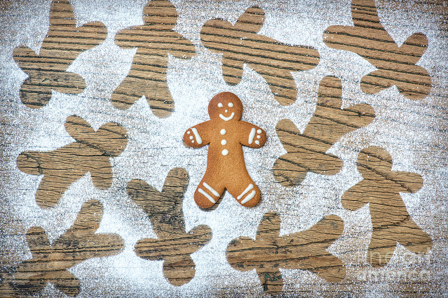 Gingerbread Photograph by Tim Gainey