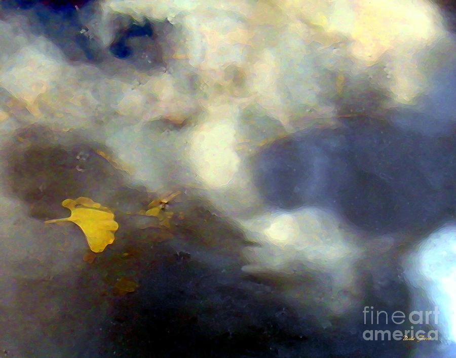 Ginkgo Leaf in Puddle Digital Art by Dale   Ford