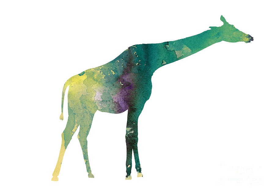 Abstract Painting - Giraffe colorful watercolor painting by Joanna Szmerdt