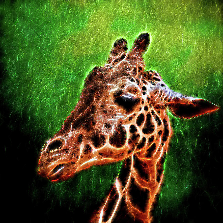 Giraffe Fractal Photograph by Judy Vincent
