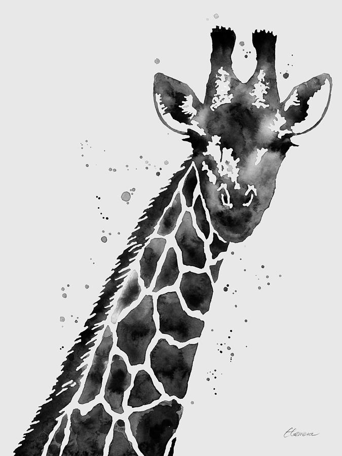 Giraffe in Black and White Painting by Hailey E Herrera