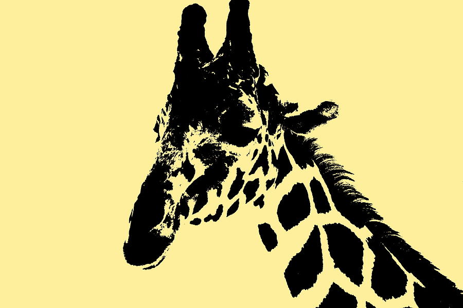 Giraffe In Butter Yellow Digital Art by Colleen Cornelius