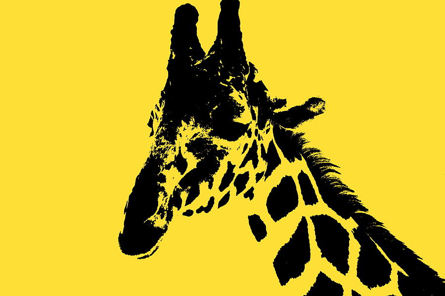 Giraffe in Mustard Yellow Photograph by Colleen Cornelius