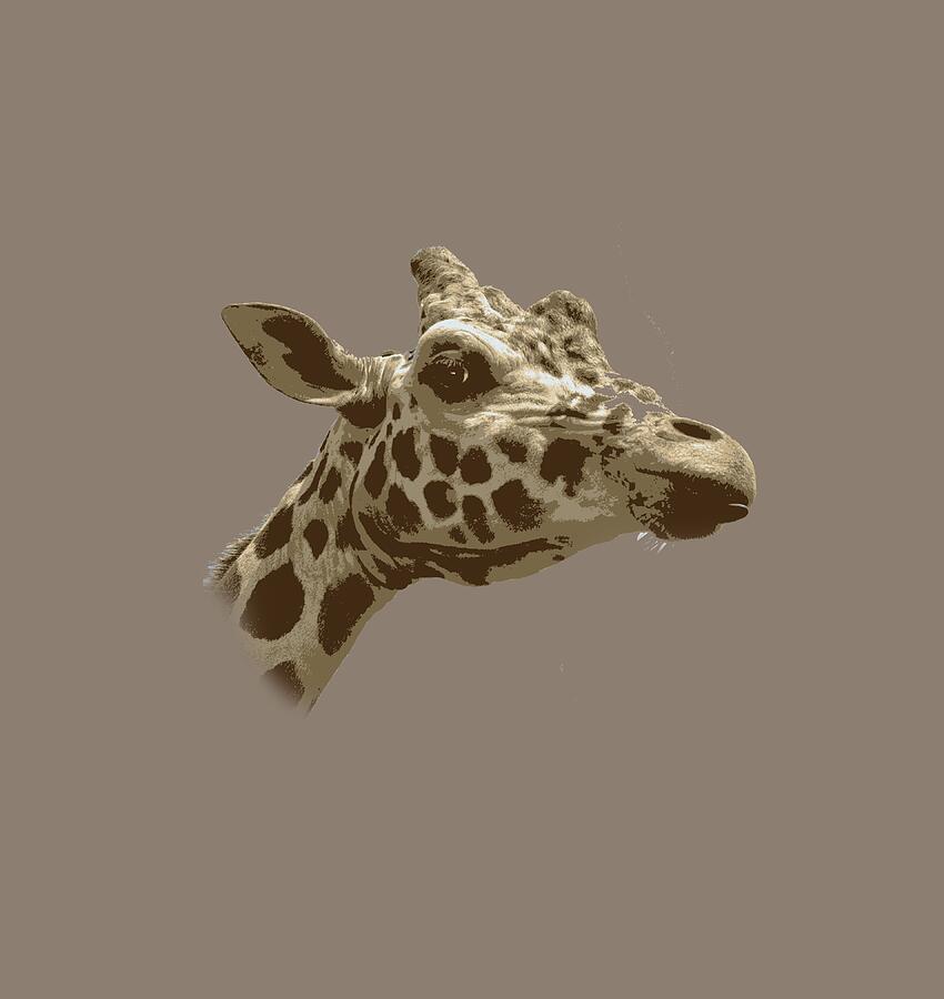 Giraffe Digital Art by Joyce Wasser
