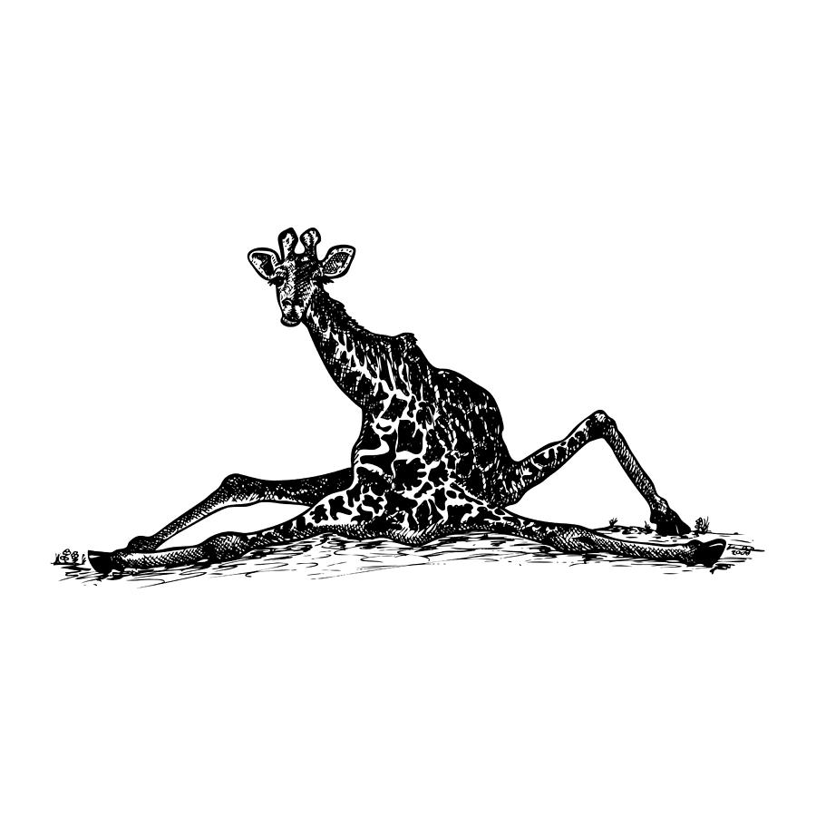 Cute Cartoon Giraffe Art Drawing - Baby Giraffe - Pin | TeePublic