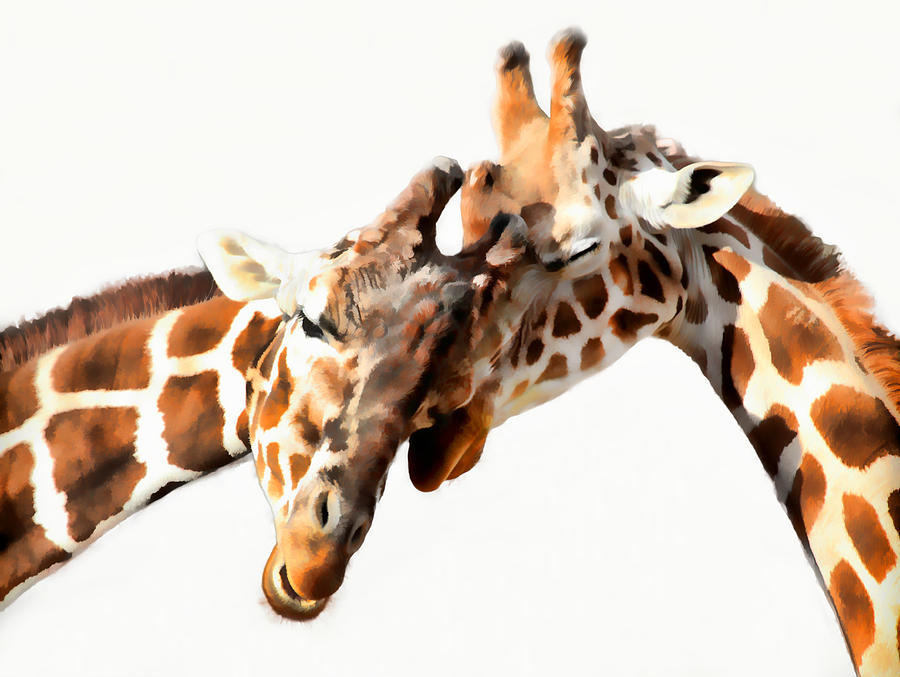 Giraffe Photograph - Giraffe Love by Athena Mckinzie