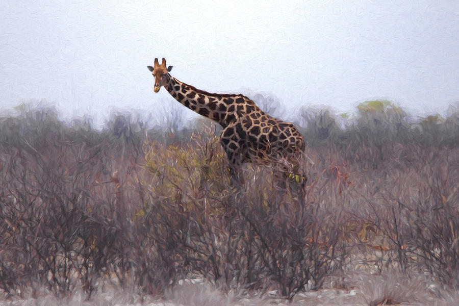 Giraffe Namibia Digital Art by Ernest Echols