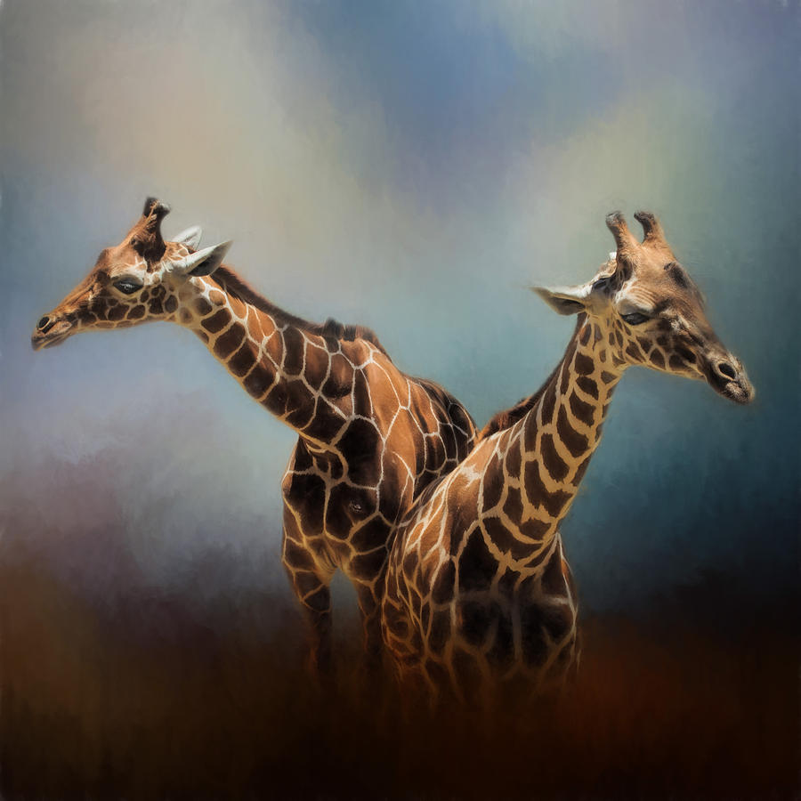 Animal Photograph - Giraffe Pair by David and Carol Kelly