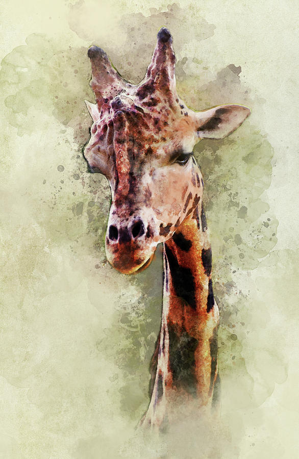 Giraffe portrait Digital Art by Jaroslaw Blaminsky