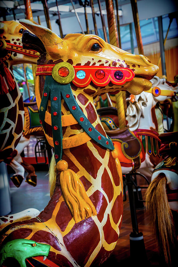 Giraffe Ride Photograph by Garry Gay