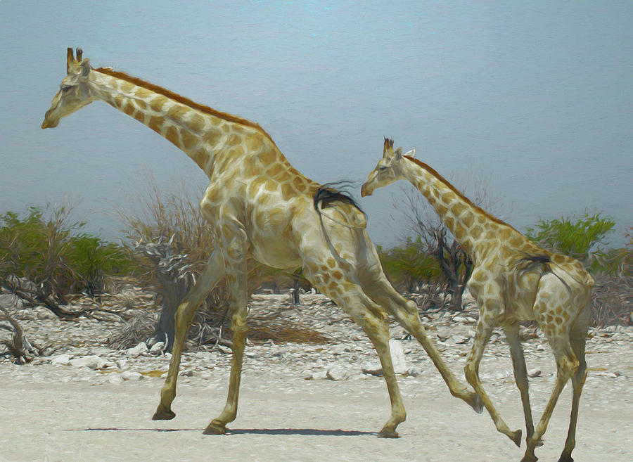 Giraffe Run Digital Art by Ernest Echols