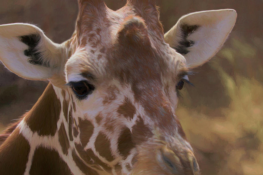 Giraffe Upclose Digital Art by Ernest Echols