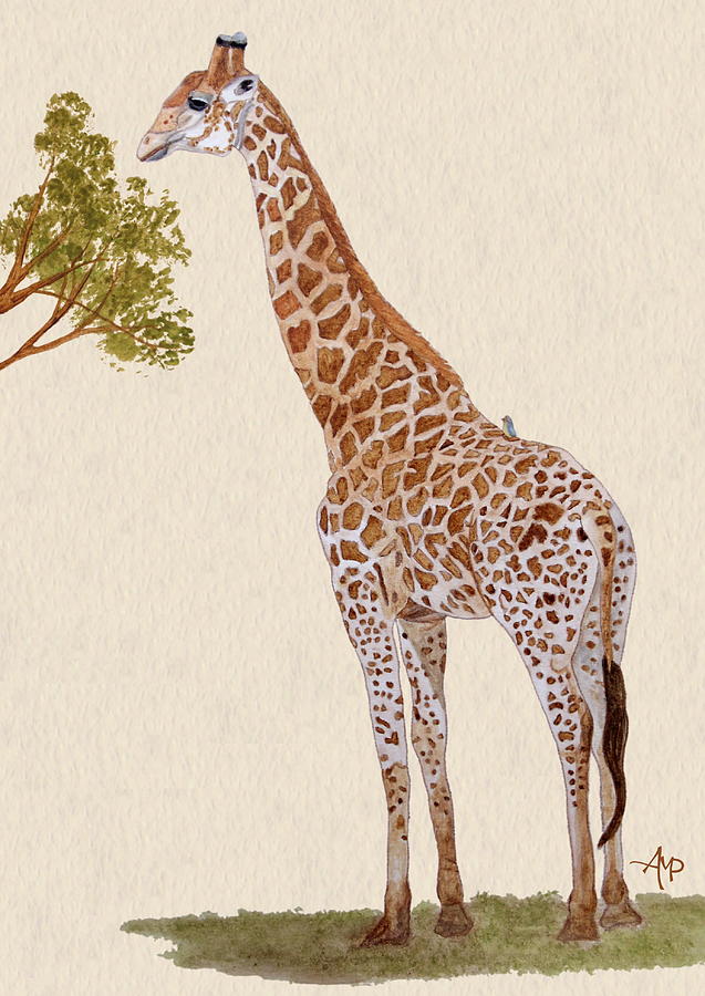 Wildlife Painting - Giraffe Watercolor by Angeles M Pomata