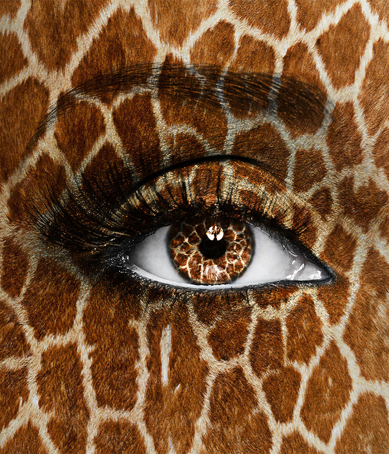 Giraffe Photograph - Giraffe by Yosi Cupano