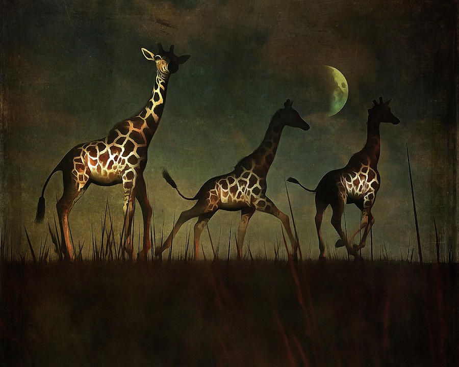 Giraffes fleeing Painting by Jan Keteleer