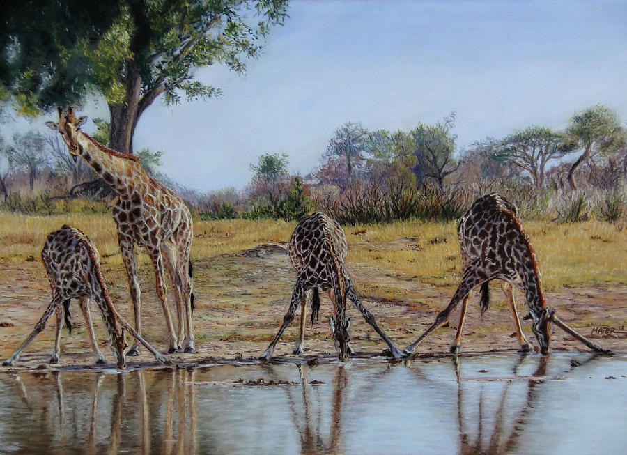 Giraffes Four of a Kind Pastel by Silvia Maier - Fine Art America