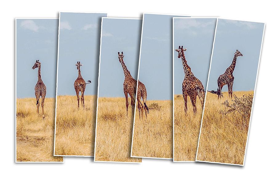Giraffes in Masai Mara National Reserve, Kenya Painting by Celestial Images
