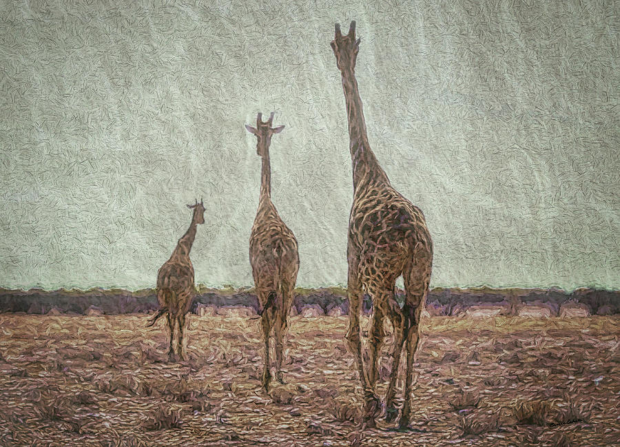 Giraffes in Namibia Digital Art by Ernest Echols