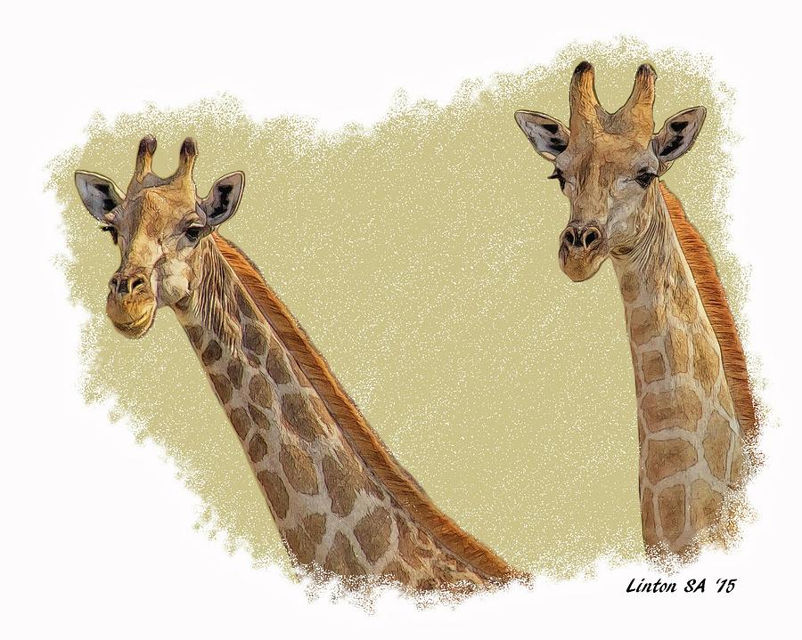 Giraffes Digital Art by Larry Linton