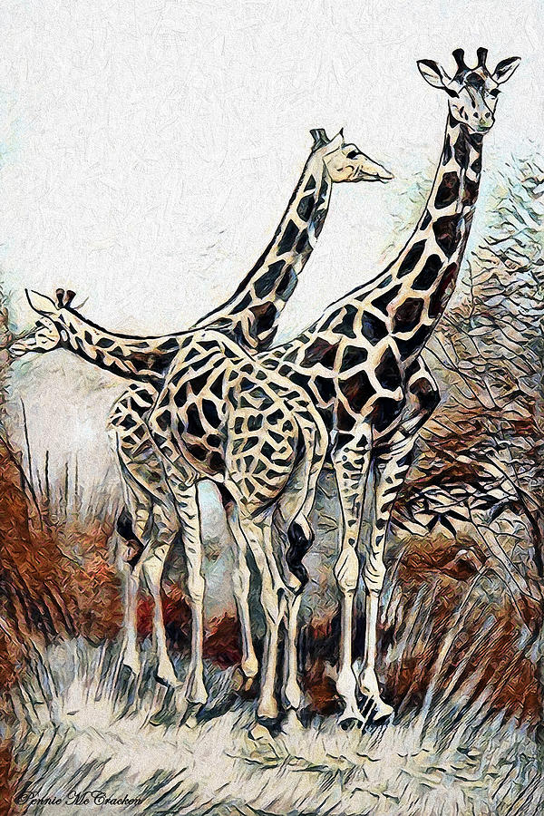 Giraffes Digital Art by Pennie McCracken