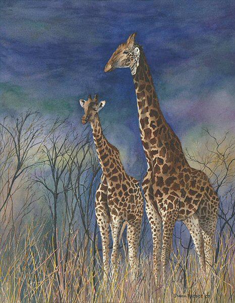 Wildlife Painting - Giraffes by Sharon Farber